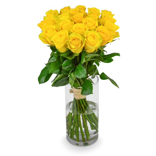Bouquet of yellow roses